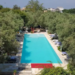 Erdek Oliva Havuzlu Pansiyon Турция, Мармара - отзывы, цены и фото номеров - забронировать отель Erdek Oliva Havuzlu Pansiyon онлайн бассейн фото 3