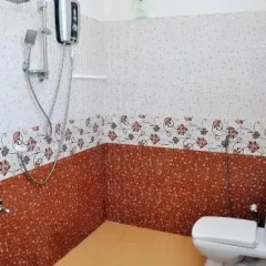 Отель Little Swan Guest House Шри-Ланка, Бентота - отзывы, цены и фото номеров - забронировать отель Little Swan Guest House онлайн ванная фото 2