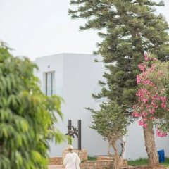 Отель Panthea Holiday Village Water Park Resort Кипр, Айя-Напа - 3 отзыва об отеле, цены и фото номеров - забронировать отель Panthea Holiday Village Water Park Resort онлайн фото 5