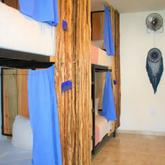 Отель Namastay Hostel Мексика, Плая-дель-Кармен - отзывы, цены и фото номеров - забронировать отель Namastay Hostel онлайн комната для гостей фото 4