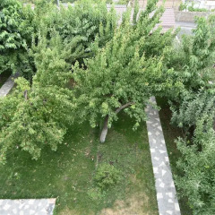Отель Патриотт Ереван
