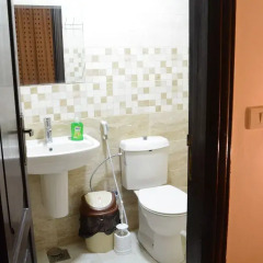 Отель Jasmine leaves furnished apartments Иордания, Амман - отзывы, цены и фото номеров - забронировать отель Jasmine leaves furnished apartments онлайн ванная фото 2