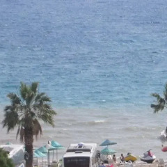 Delta Altinkum Турция, Алтинкум - 1 отзыв об отеле, цены и фото номеров - забронировать отель Delta Altinkum онлайн пляж фото 2
