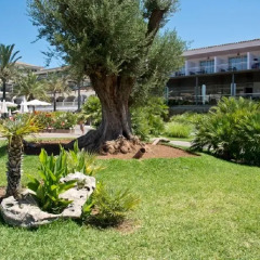 Отель Beach Club Font de Sa Cala фото 5