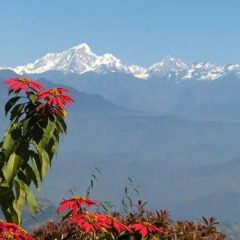 Отель Himalayan Horizon Непал, Дхуликхел - отзывы, цены и фото номеров - забронировать отель Himalayan Horizon онлайн фото 3