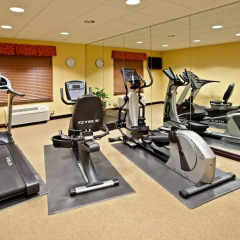 Holiday Inn Express Hotel & Suites Jasper фитнесс-зал