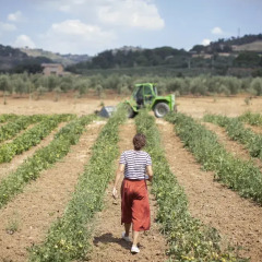 Отель Agriturismo Leano Пьяцца-Армерина приотельная территория