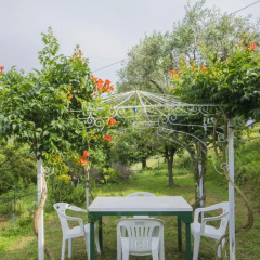 Отель Holiday home Il Banano Massarosa Массароза помещение для мероприятий
