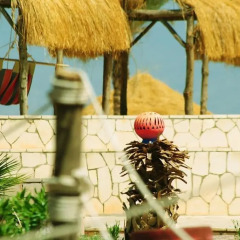 Отель Safari Beach Nuweiba бассейн
