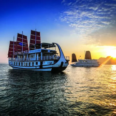 Отель Gray Line Private Luxury Cruise городской автобус