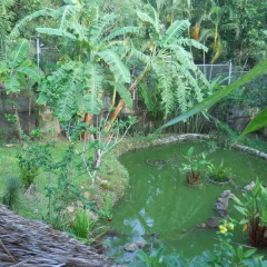Отель Frog and Catfish Country Inn Krabi