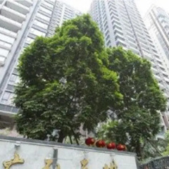 Отель Private Apartments - Guanghongtianqi Китай, Гуанчжоу - отзывы, цены и фото номеров - забронировать отель Private Apartments - Guanghongtianqi онлайн