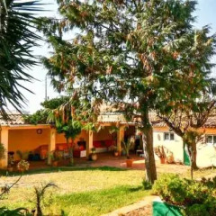 Отель SPH - Sintra Pine House фото 13