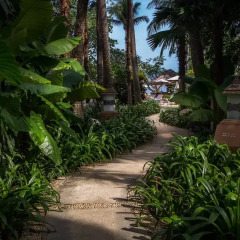 Отель Thavorn Beach Village Resort & Spa Phuket фото 16