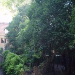 Отель Casa Maximo Al Colosseo Италия, Рим - отзывы, цены и фото номеров - забронировать отель Casa Maximo Al Colosseo онлайн балкон