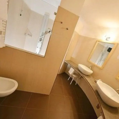 Hotel Cavalletto ванная