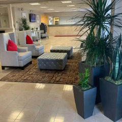 Отель Ramada Waterfront Sarasota интерьер отеля