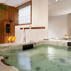 Отель Four Points by Sheraton Toronto Lakeshore Канада, Торонто - отзывы, цены и фото номеров - забронировать отель Four Points by Sheraton Toronto Lakeshore онлайн бассейн