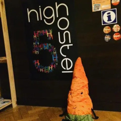 High 5 Hostel с домашними животными