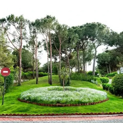 Belconti Resort Hotel - All Inclusive фото 12