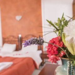 Отель Villa Voula Греция, Остров Санторини - отзывы, цены и фото номеров - забронировать отель Villa Voula онлайн спа