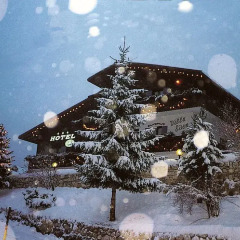 Hotel Villa Eden Рокка Пьеторе фото 2