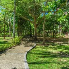Отель Duangjitt Resort, Phuket Таиланд, Пхукет - 2 отзыва об отеле, цены и фото номеров - забронировать отель Duangjitt Resort, Phuket онлайн фото 2
