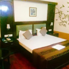 Green Valley(Nehru Place) - Boutique Hotel комната для гостей фото 4