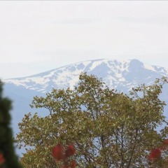 Отель Panorama Resort Болгария, Банско - отзывы, цены и фото номеров - забронировать отель Panorama Resort онлайн балкон