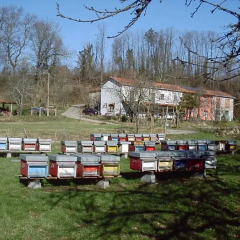 Отель Agriturismo Cà Rossano Фивиццано приотельная территория