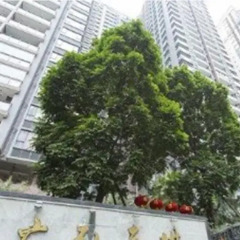 Отель Private Apartments - Guanghongtianqi Китай, Гуанчжоу - отзывы, цены и фото номеров - забронировать отель Private Apartments - Guanghongtianqi онлайн балкон