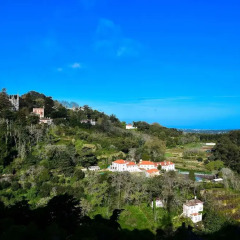 Отель Tivoli Sintra фото 2