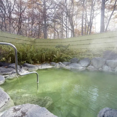 Nikko Astraea Hotel Никко бассейн