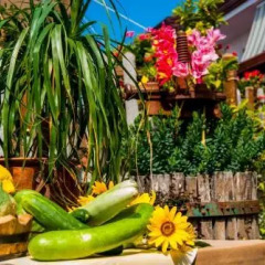 Отель Agriturismo Mare e Monti Аджерола фото 3