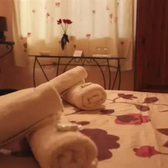 Отель Green Grove Guest House спа