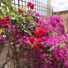 Отель B&B Terre di Sicilia Италия, Джардини Наксос - отзывы, цены и фото номеров - забронировать отель B&B Terre di Sicilia онлайн фото 6