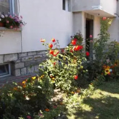 Отель Borova House Трявна фото 2
