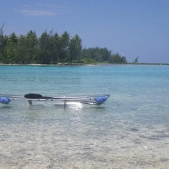 Отель Bora Bora Eco Lodge Mai Moana Island Французская Полинезия, Бора-Бора - отзывы, цены и фото номеров - забронировать отель Bora Bora Eco Lodge Mai Moana Island онлайн приотельная территория