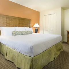 Отель WorldMark Las Vegas Tropicana США, Лас-Вегас - отзывы, цены и фото номеров - забронировать отель WorldMark Las Vegas Tropicana онлайн комната для гостей фото 5