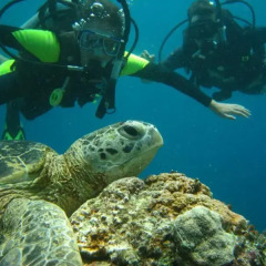 Отель Sipadan Inn пляж