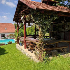 Отель Guest house Magyar Route 66 Венгрия, Силвашварад - отзывы, цены и фото номеров - забронировать отель Guest house Magyar Route 66 онлайн бассейн