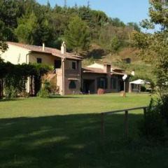 Отель Agriturismo Podere Bucine Basso Италия, Лари - отзывы, цены и фото номеров - забронировать отель Agriturismo Podere Bucine Basso онлайн фото 2