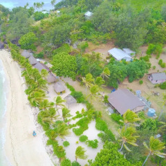 Отель Gold Coast Inn Фиджи, Матаялеву - отзывы, цены и фото номеров - забронировать отель Gold Coast Inn онлайн фото 6