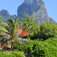 Отель Le Crusoe Французская Полинезия, Бора-Бора - отзывы, цены и фото номеров - забронировать отель Le Crusoe онлайн пляж фото 10