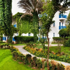 Belconti Resort Hotel - All Inclusive фото 8