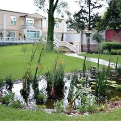 Отель Mansion Papilio Мексика, Мехико - отзывы, цены и фото номеров - забронировать отель Mansion Papilio онлайн