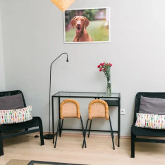 Апартаменты D.five Vizsla Apartment At National Museum Будапешт удобства в номере