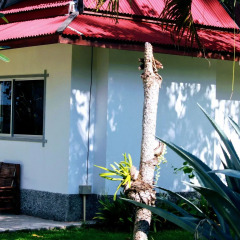 Отель Lantas Lodge Ланта фото 2