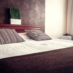 Гостиница Park hotel Shishka в Новосибирске отзывы, цены и фото номеров - забронировать гостиницу Park hotel Shishka онлайн Новосибирск комната для гостей фото 3
