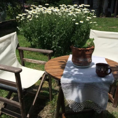 Отель Stefanina Guesthouse Боженци помещение для мероприятий